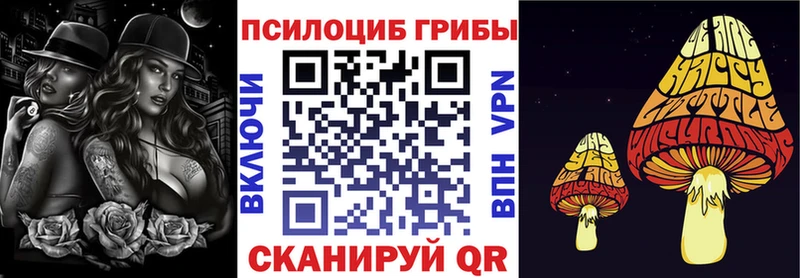 Псилоцибиновые грибы Cubensis Чухлома