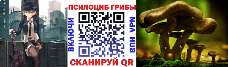 Галлюциногенные грибы Psilocybe  цены наркотик  Чухлома 